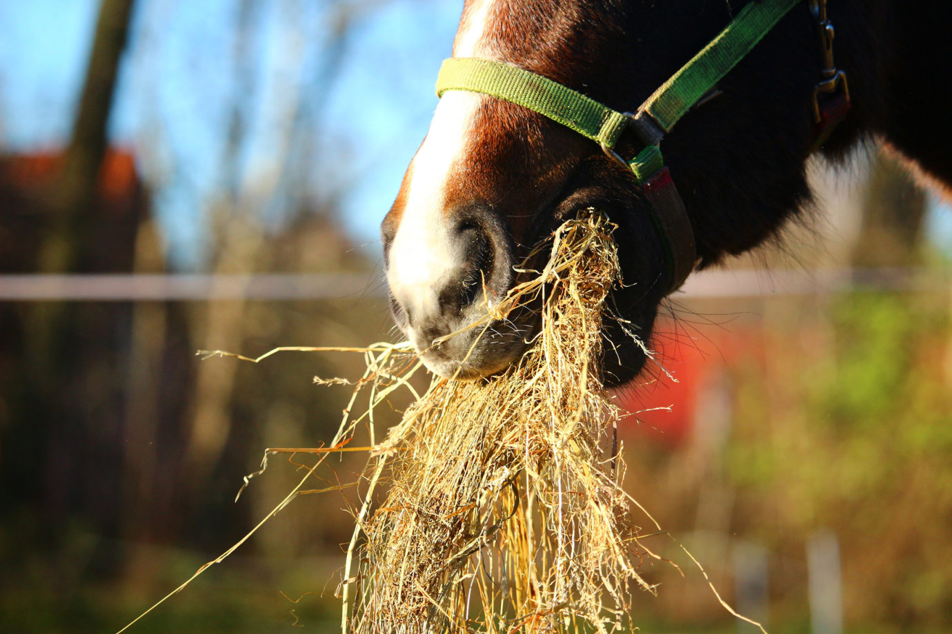 Paddock mats for feeding and drinking places