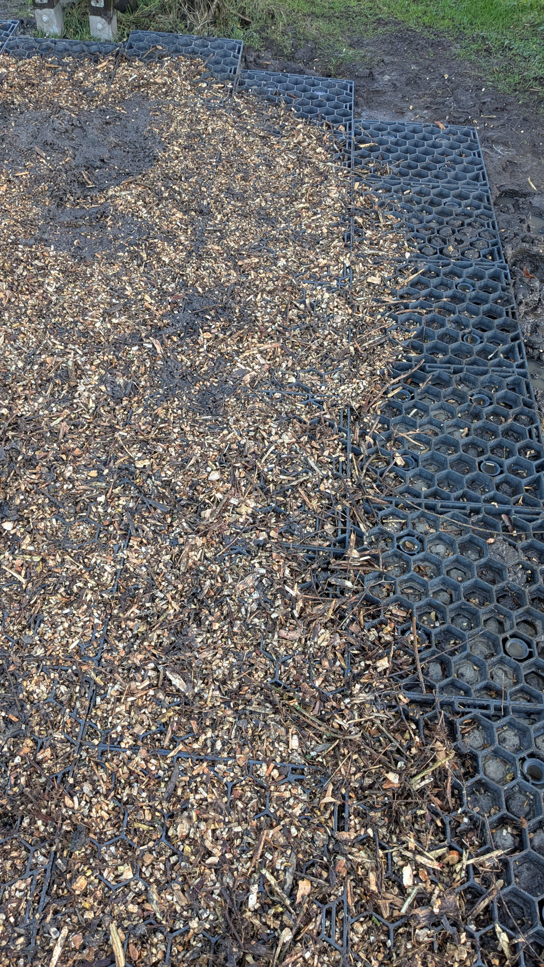 Matschfreie Fläche mit Paddockplatten