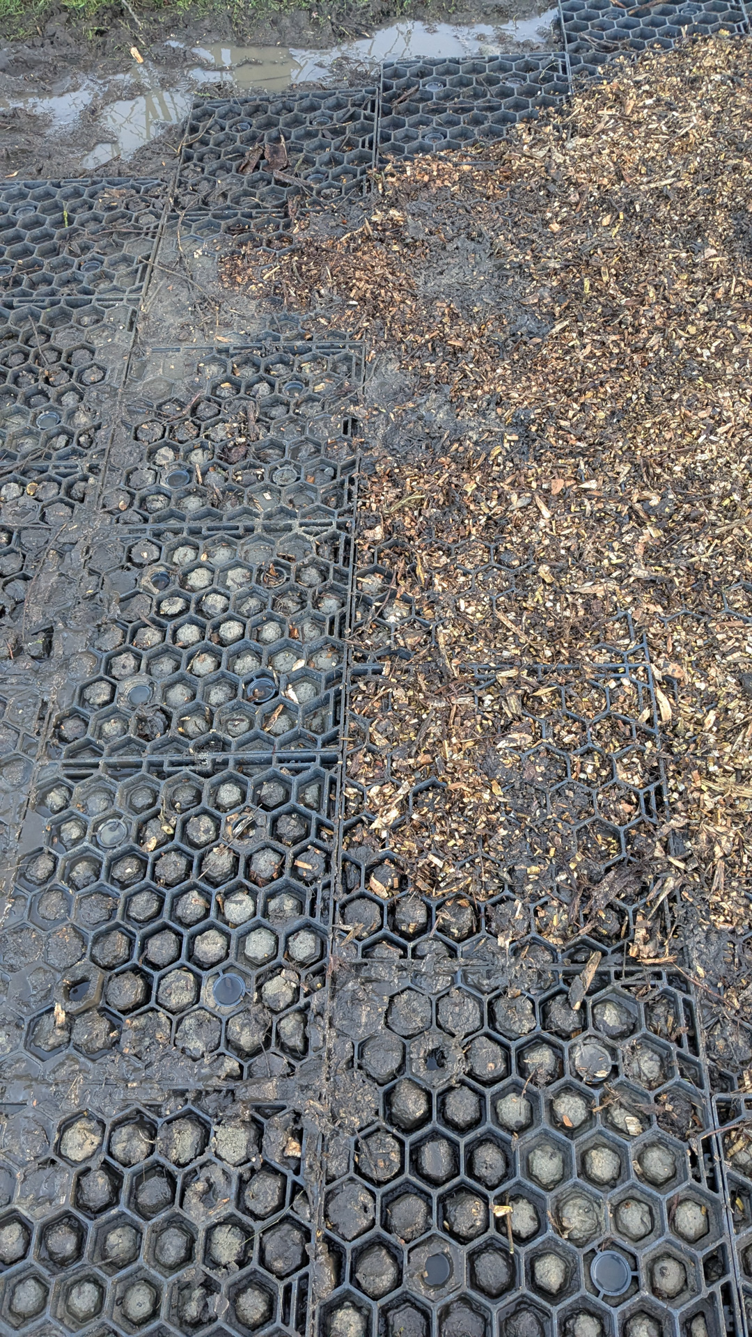 Paddockplatten ohne Unterbau mit Hackschnitzeln